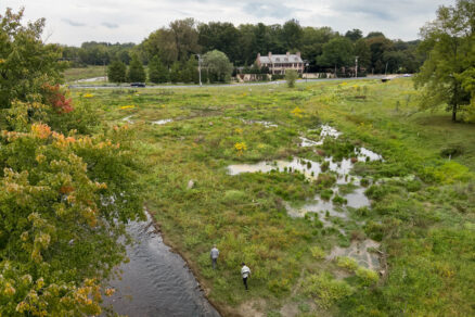 Glimpse of the Little Conestoga Creek as it flows through a wetland and field area.