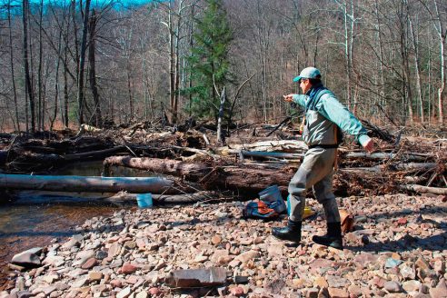 A researcher holds a fishing rod at arm's length on a rocky streambank in a forest.