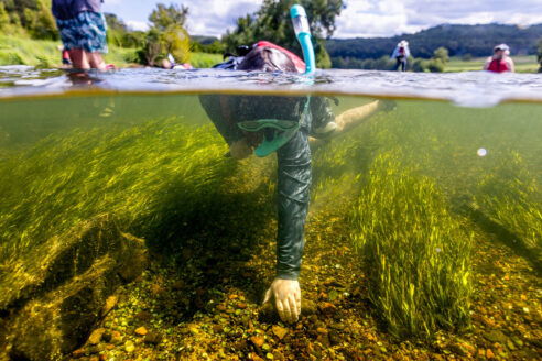 A snorkeler grabs the bottom of a rocky riverbed.