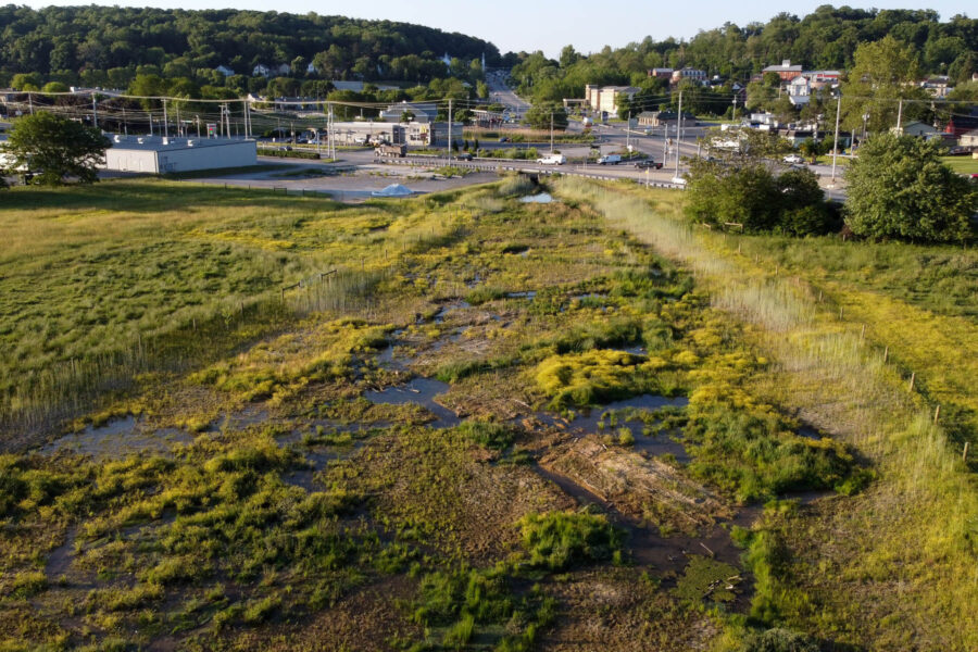 Aerial photograph of a tributary bordered by wetland heading toward a developed area.
