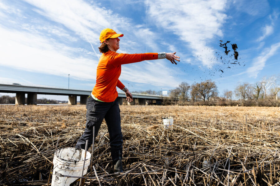 A woman with arm extended releases a clump of mud above a wide flat wetland on an urban river.