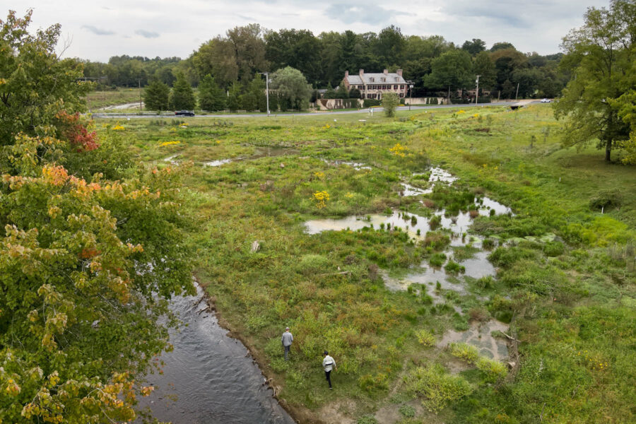 Glimpse of the Little Conestoga Creek as it flows through a wetland and field area.