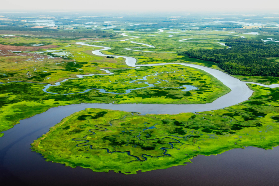 An aerial view of a winding river flowing through wetlands.
