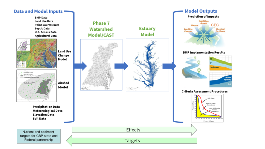 A diagram of the inputs to the model flowing into the watershed model and estuary model which yield the impacts and results we are measuring.