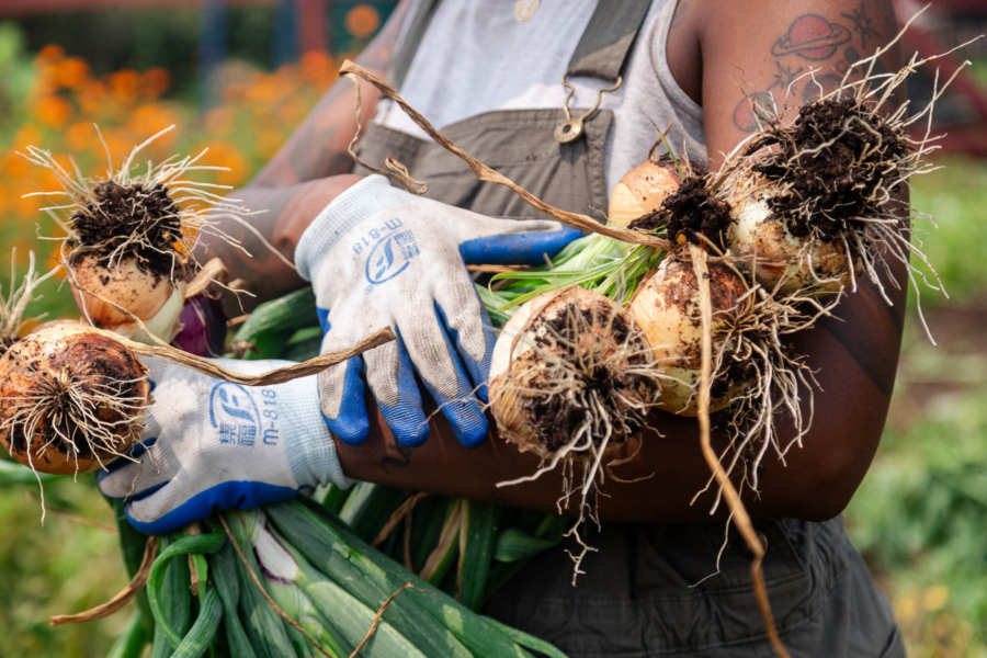 A young female farmer's arms hold several large onions with flowers blooming in the background.