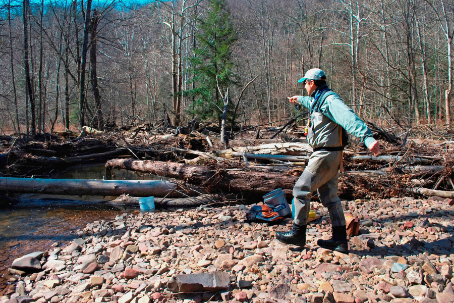 A researcher holds a fishing rod at arm's length on a rocky streambank in a forest.