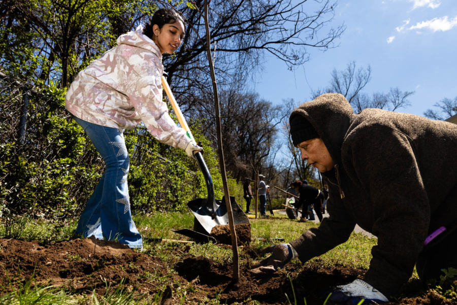 A daughter stands, wielding a shovel while her mother spreads mulch around a small, leafless tree.