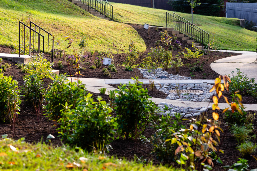 Green shrubs mix with bare spots covered with baby plants that haven't filled the freshly installed space.