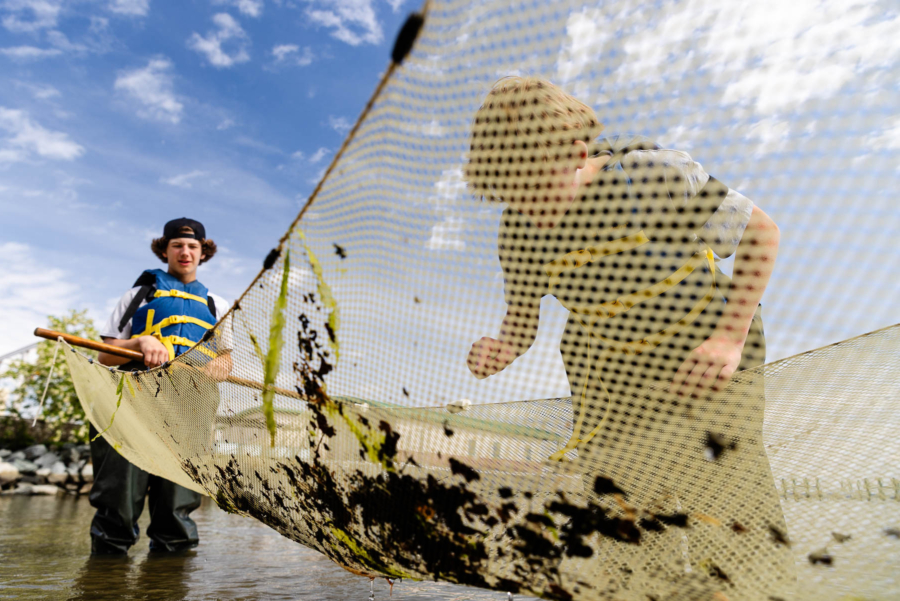 Two teenagers bend over a seine net covered in marine life.