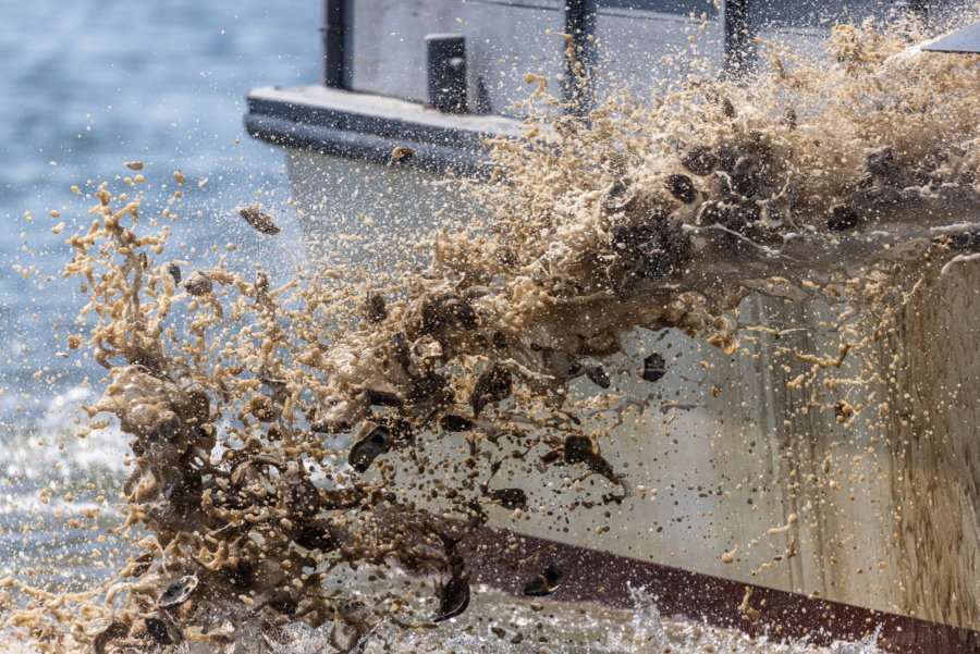 A wave of oysters and muddy water splashes overboard.