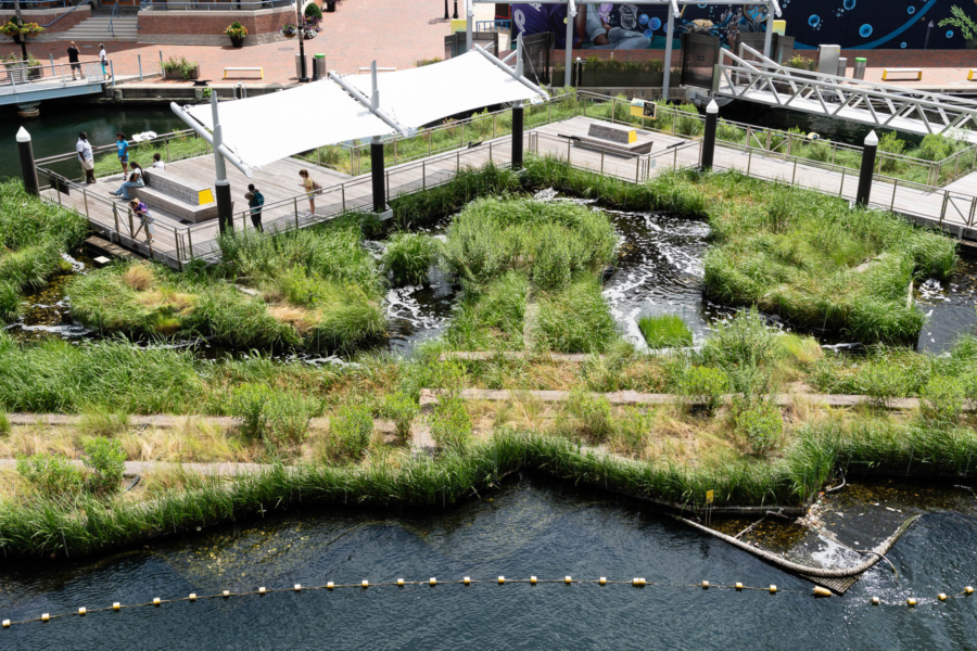 An aerial view of green artificial wetlands adjacent to pedestrian areas and deeper water.