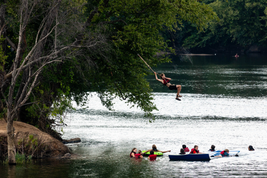 Park visitors swing from a tree on the bank of Belle Isle.