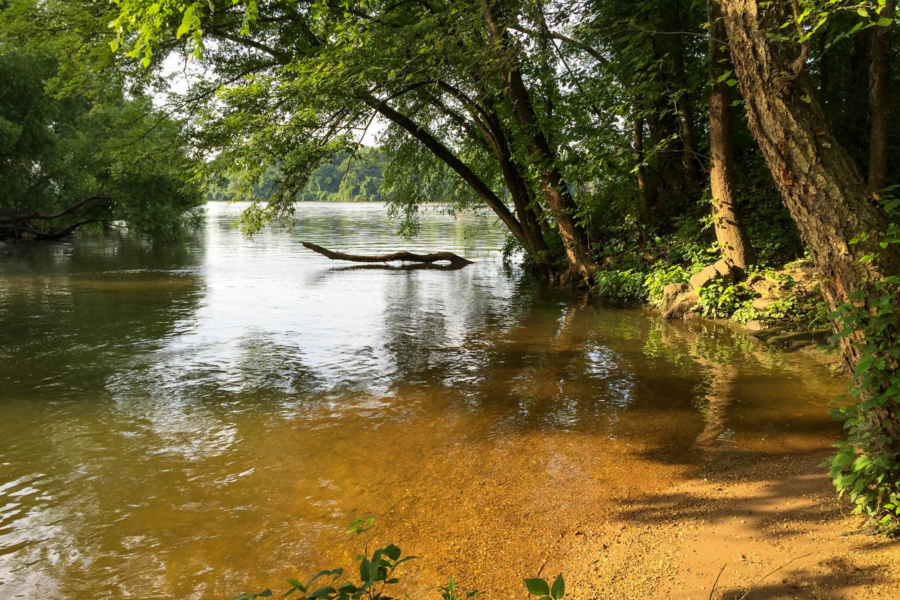 Shallow water near the banks of Chapel Island.
