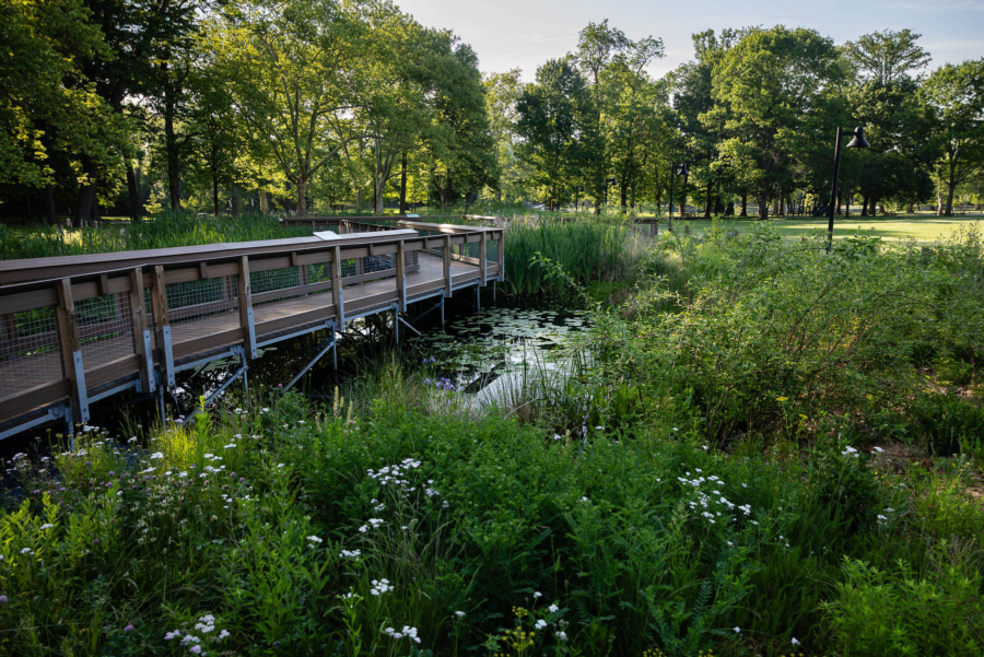 A boardwalk crosses a wetland in a park.