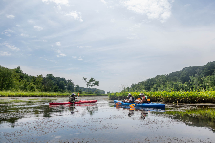 Three people on kayaks paddle down the river.