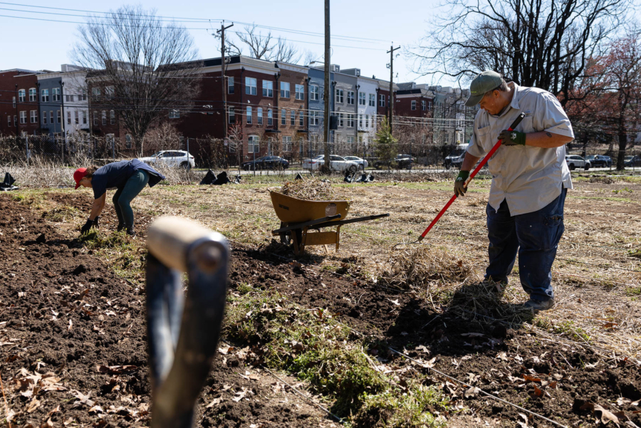 Two women work side by side clearing plant beds on an urban farm.