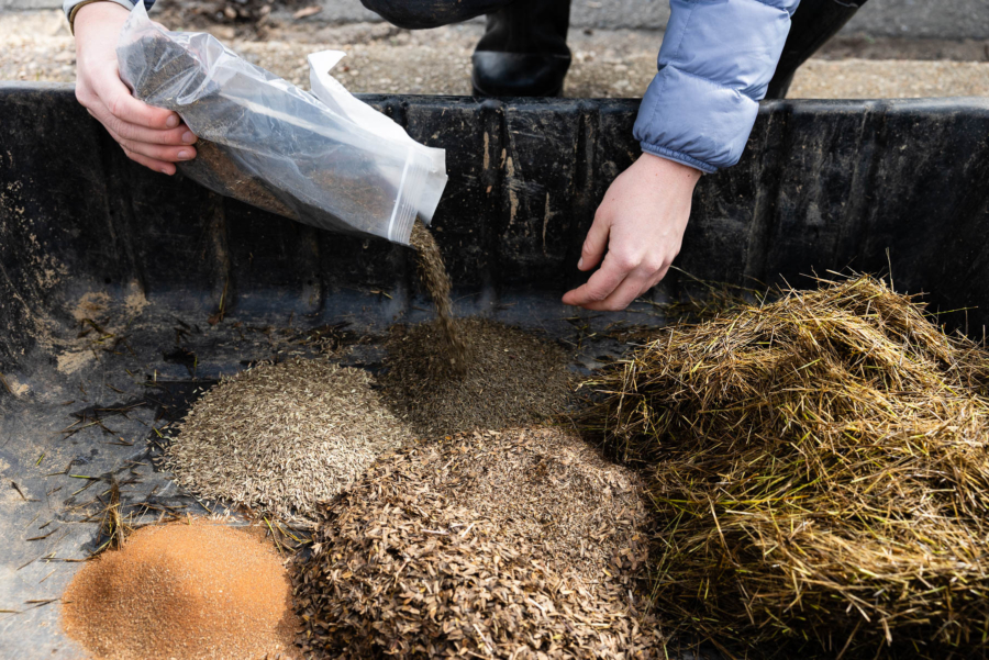 Several small brown piles of seeds fill a black tray.