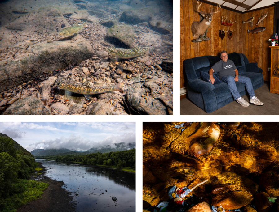 Side by side photos: bottom of a stream, resident relaxing on the couch in his home, view of a river from the top of a mountain, river bottom.