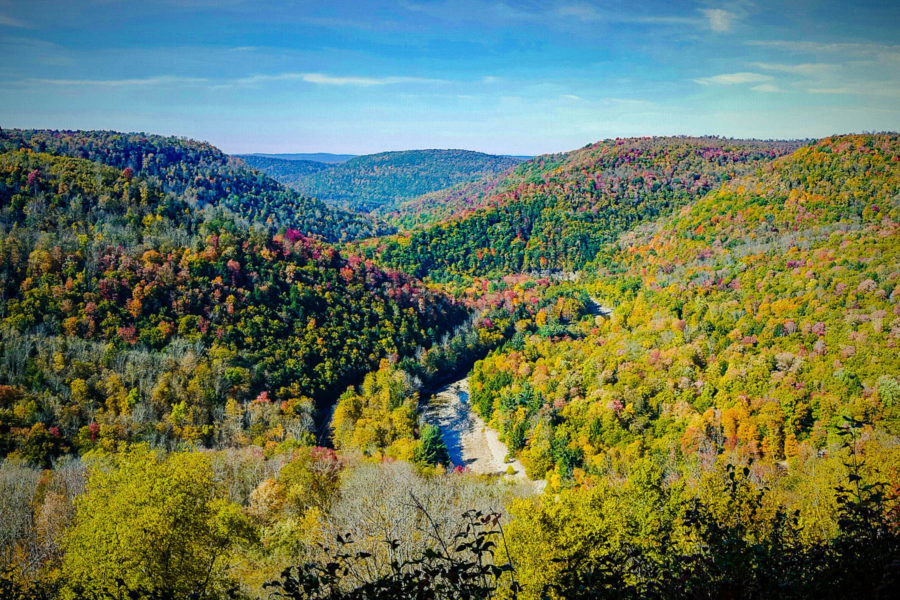 A sprawling landscape of rolling hills dotted with trees of varying red, yellow, and green hues.