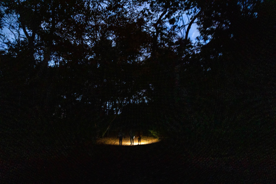 Three purple walk through the woods with flash lights