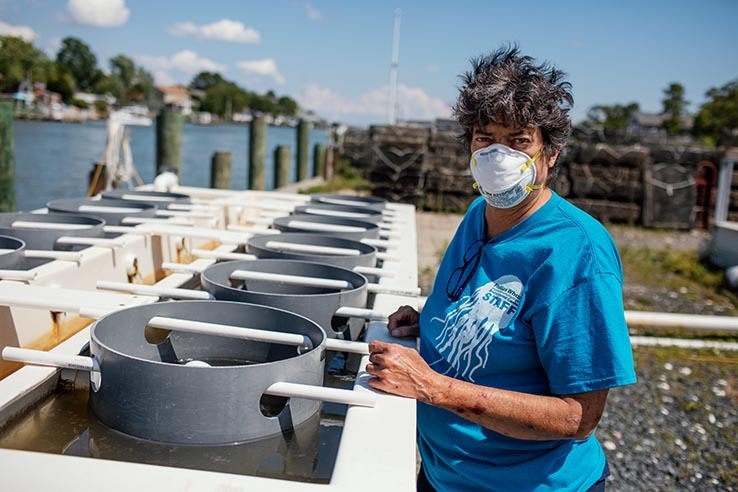 Picture of Oyster farmer and educator plays a key role in sustaining a local island’s economy