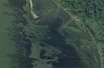Satellite image of Mallows Bay