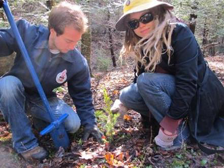 volunteers planting a tree