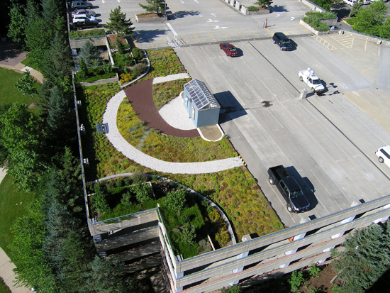 green roof at the top of the Herrity Building parking garage