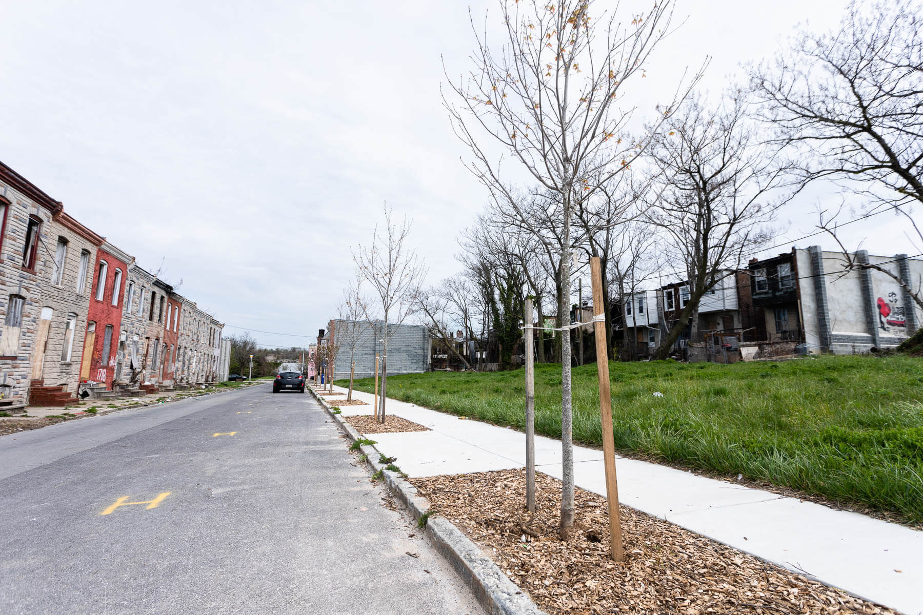 New trees planted in a dense urban area.