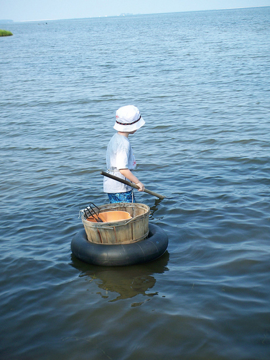 A little boy brings a net out into the Chesapeake Bay.