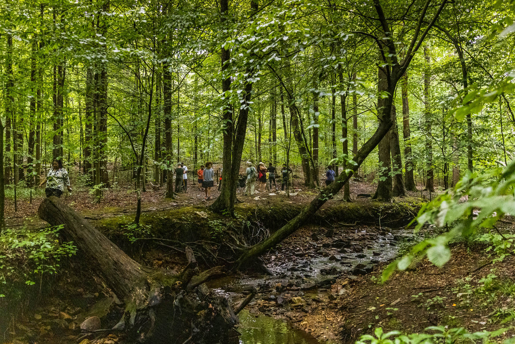 Hikers rest at the site of a former homestead of a man on Bull Run Mountains.