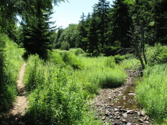 A trail follows Seneca Creek through the woods.