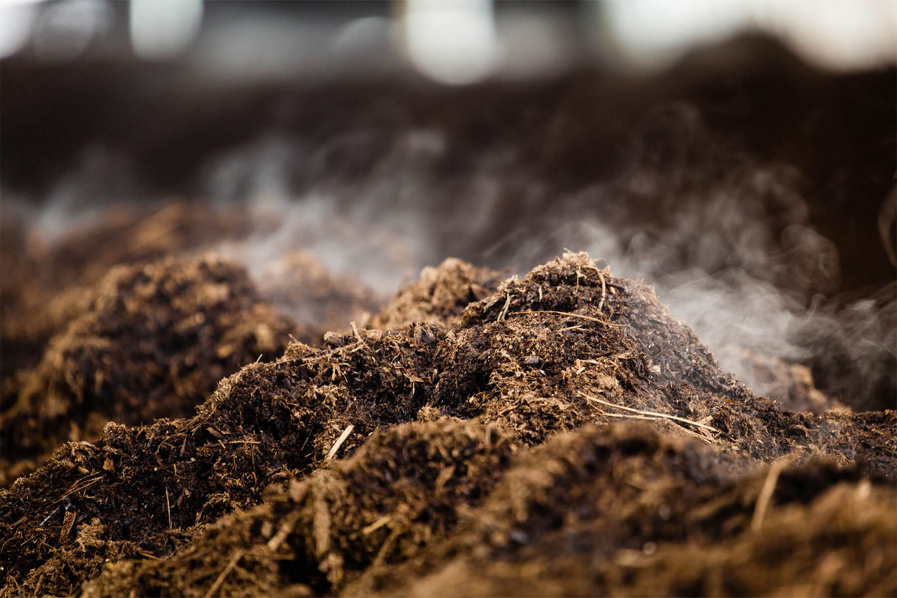 Steam rising from a pile of compost.