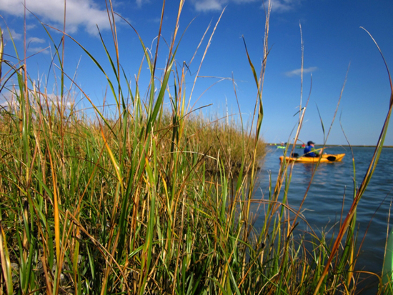 kayaker by marsh