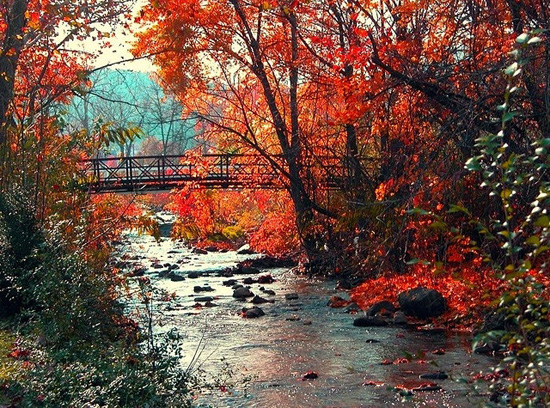 Fall foliage and a walking bridge near Happy Creek, Virginia.