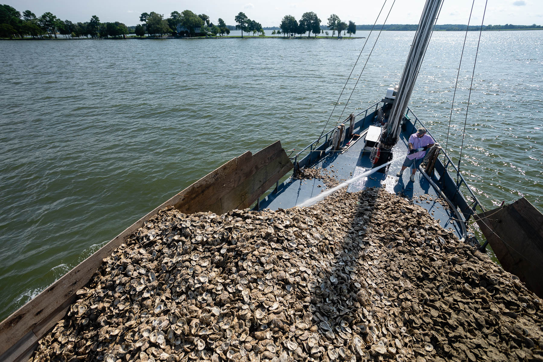 a man sprays millions of oyster shells off of a boat with a water hose