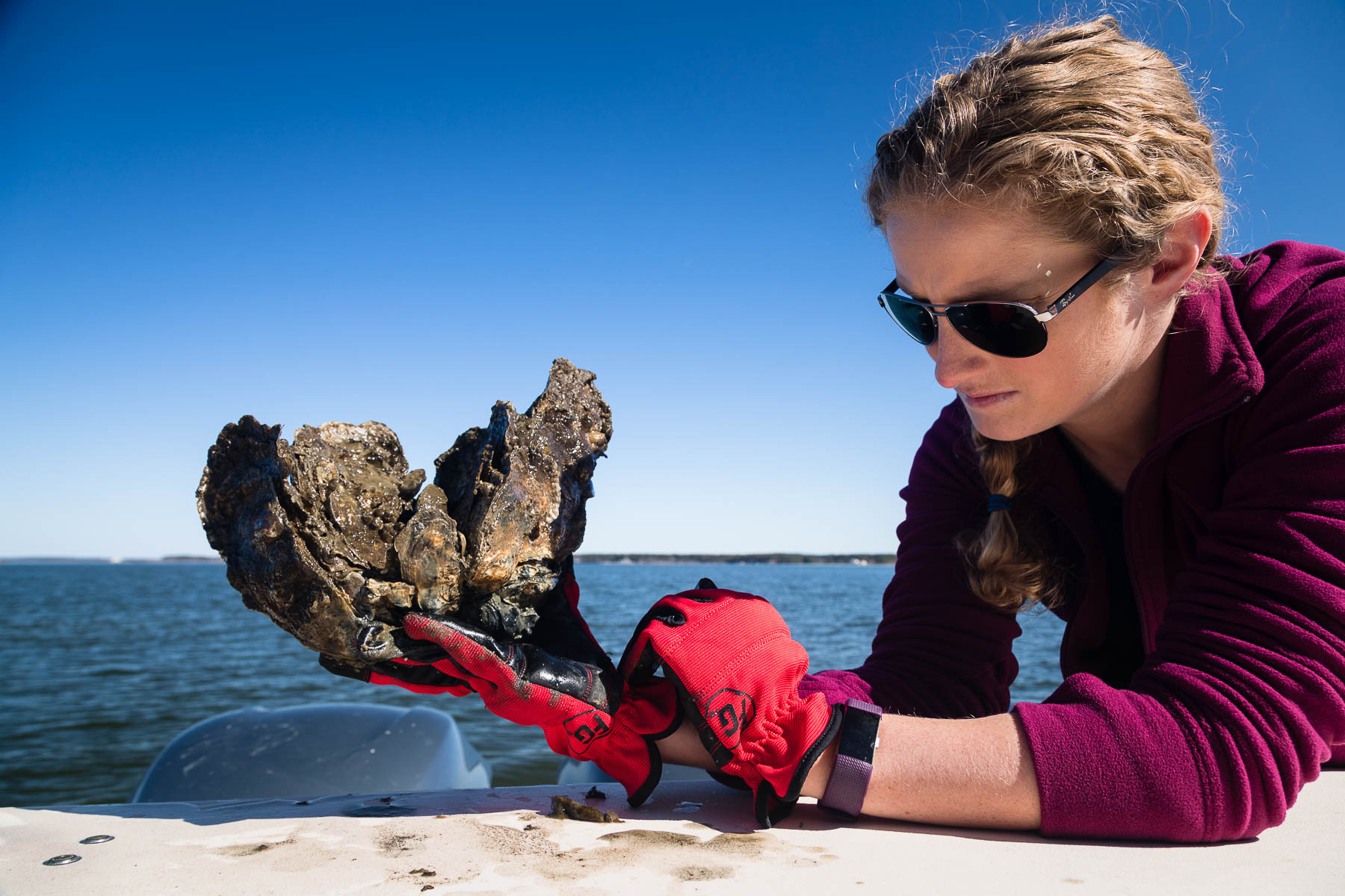 a woman wearing sunglasses and red work gloves holds and looks at a clump of oysters on a boat