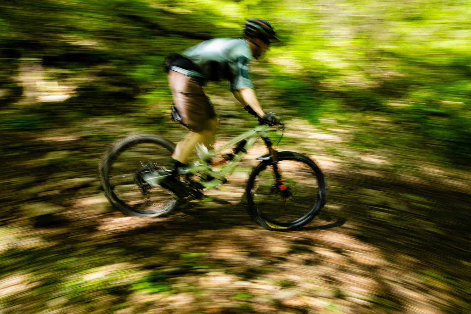 A man rides a bicycle in the forest