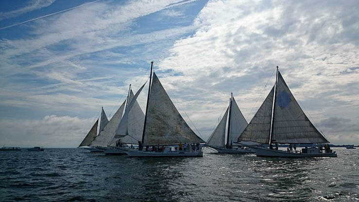 Five skipjacks race across the water