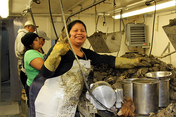 A woman with gloves and apron govered in soot smiles while holding up two fingers next to a mountain of oyster shells