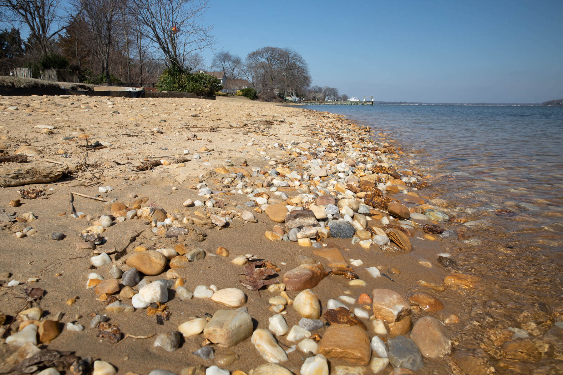 Cobblestone helps protect a living shoreline