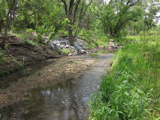 restored stream