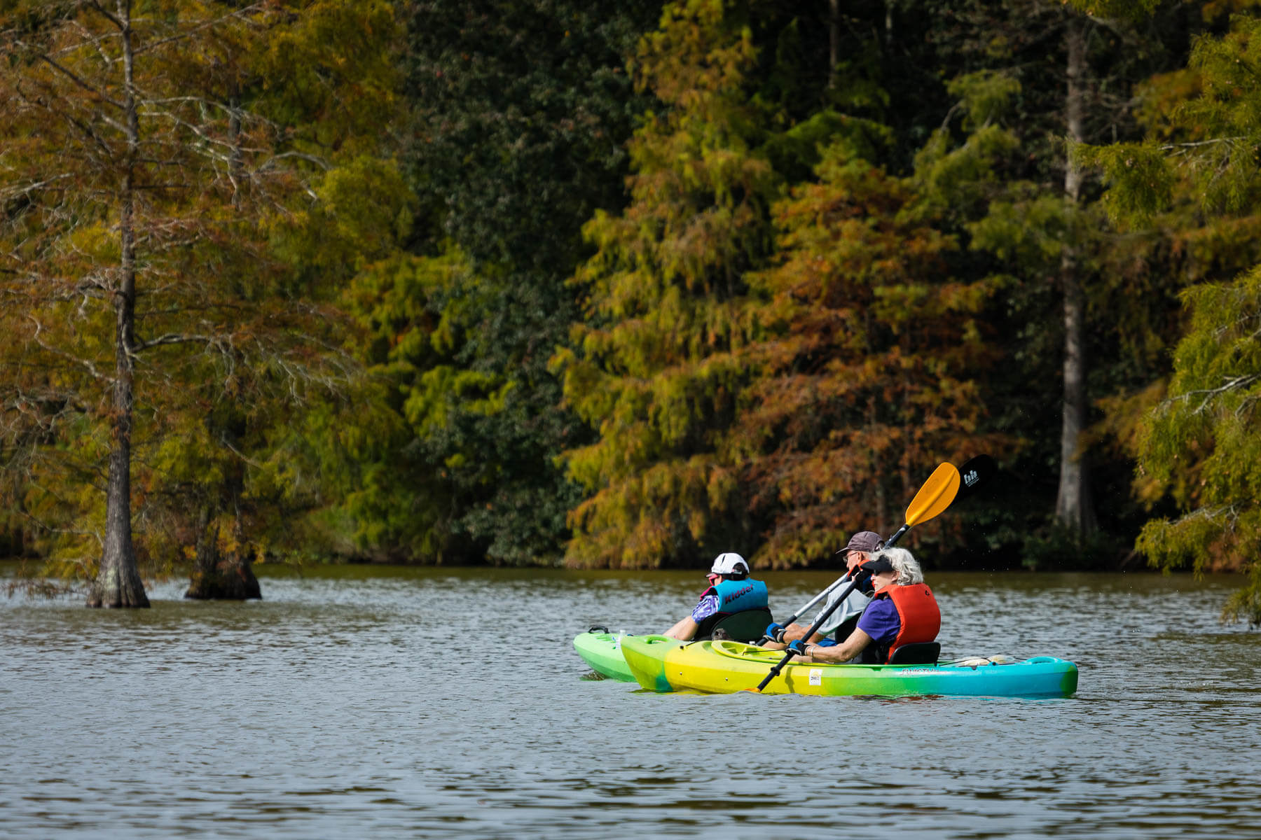 Two kayaks move down water surrounded by trees.