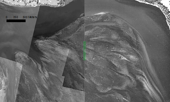 2010 and 2011 bay grass bed images (image courtesy Virginia Institute of Marine Science)