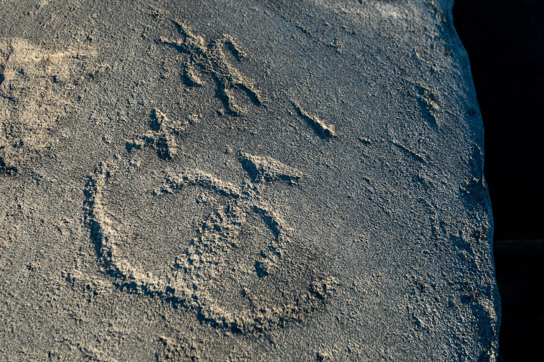 Centuriesold Susquehanna petroglyphs give history a personal touch