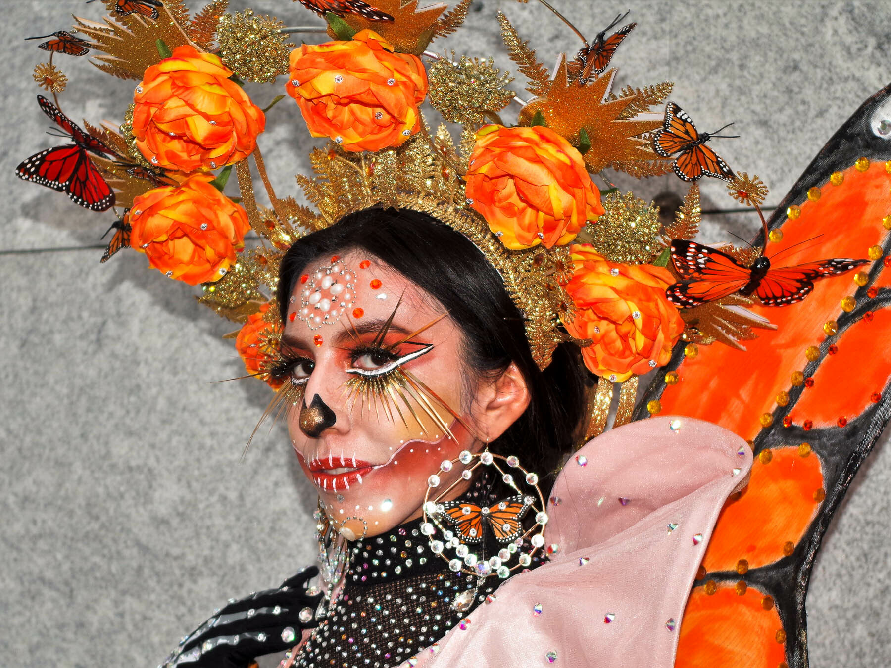 The monarch butterfly is celebrated from the Bay to Mexico Chesapeake