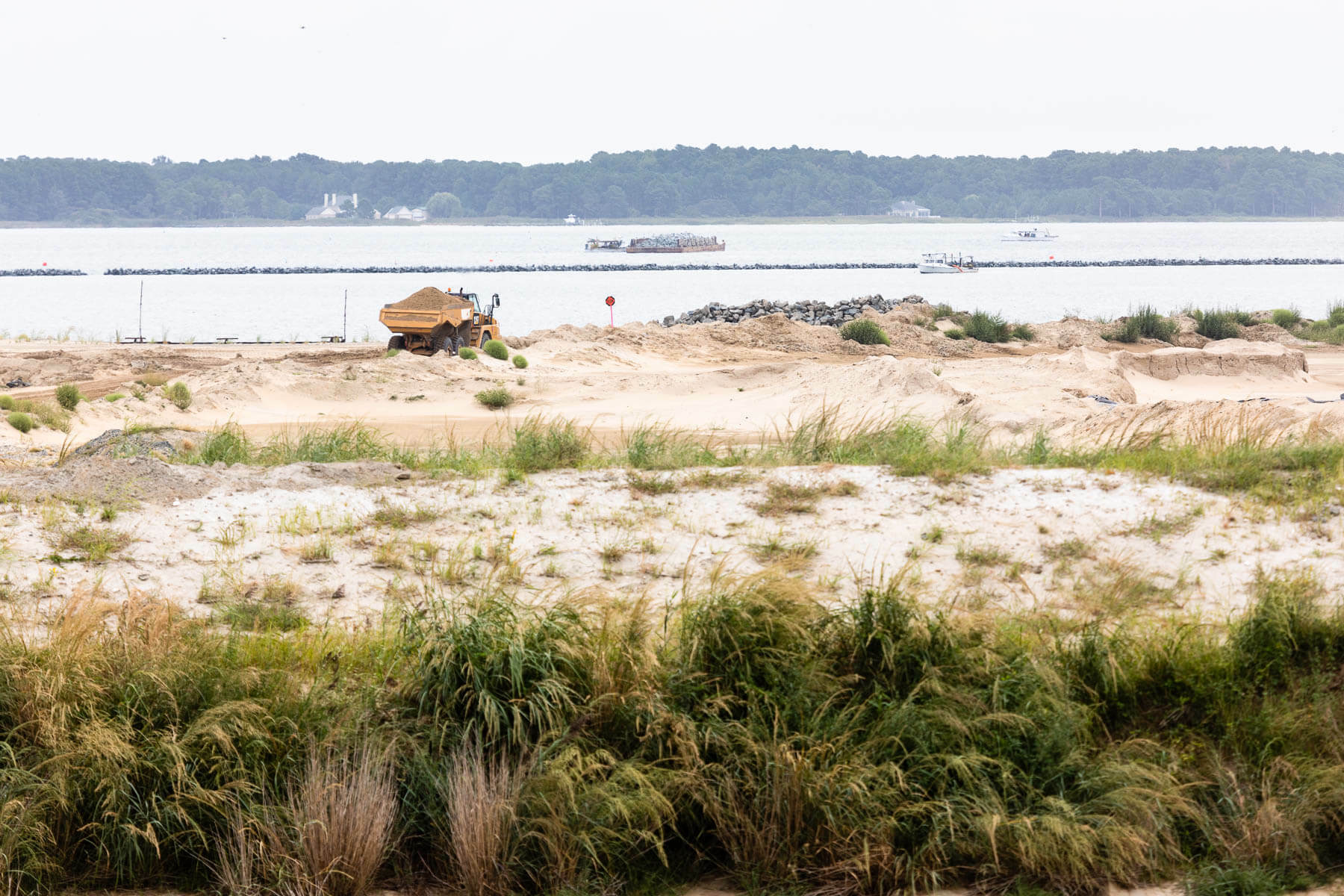 Poplar Island restoration gives Chesapeake new life Chesapeake Bay