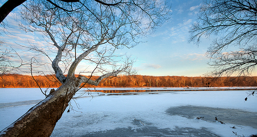 Frozen Potomac River