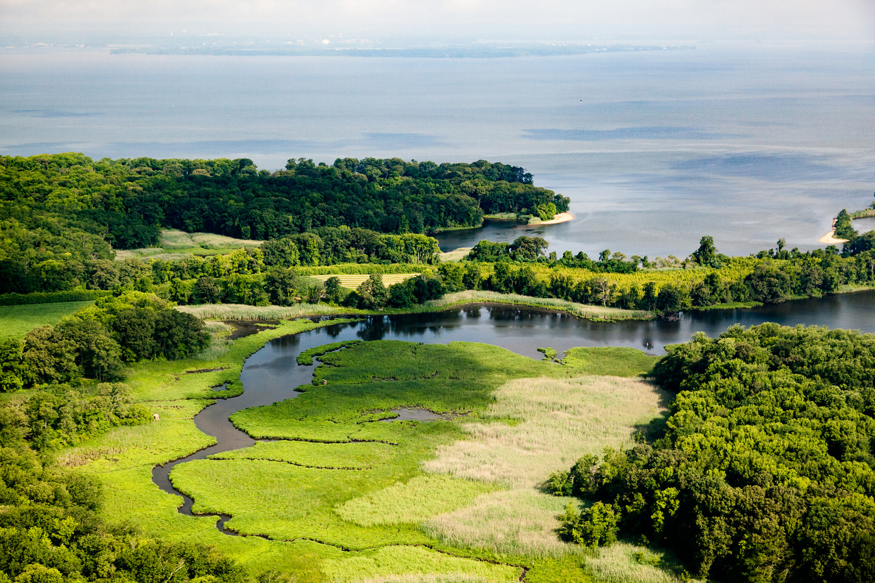 The Estuary | Chesapeake Bay Program