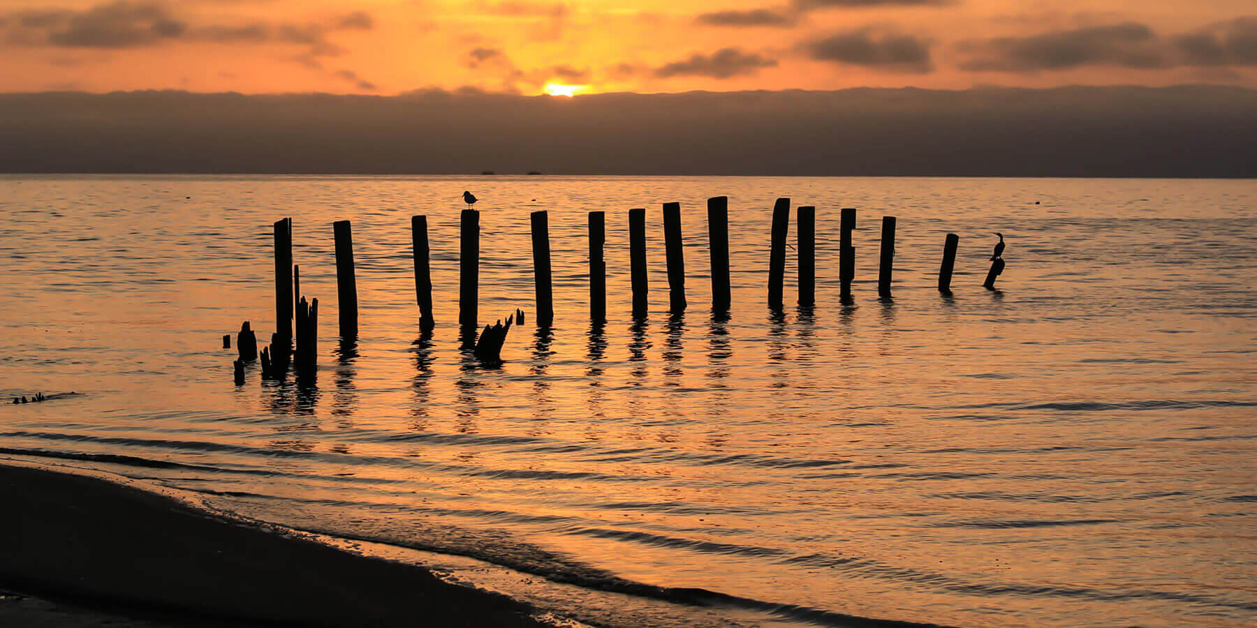 Picture of pilings in the water at sunset